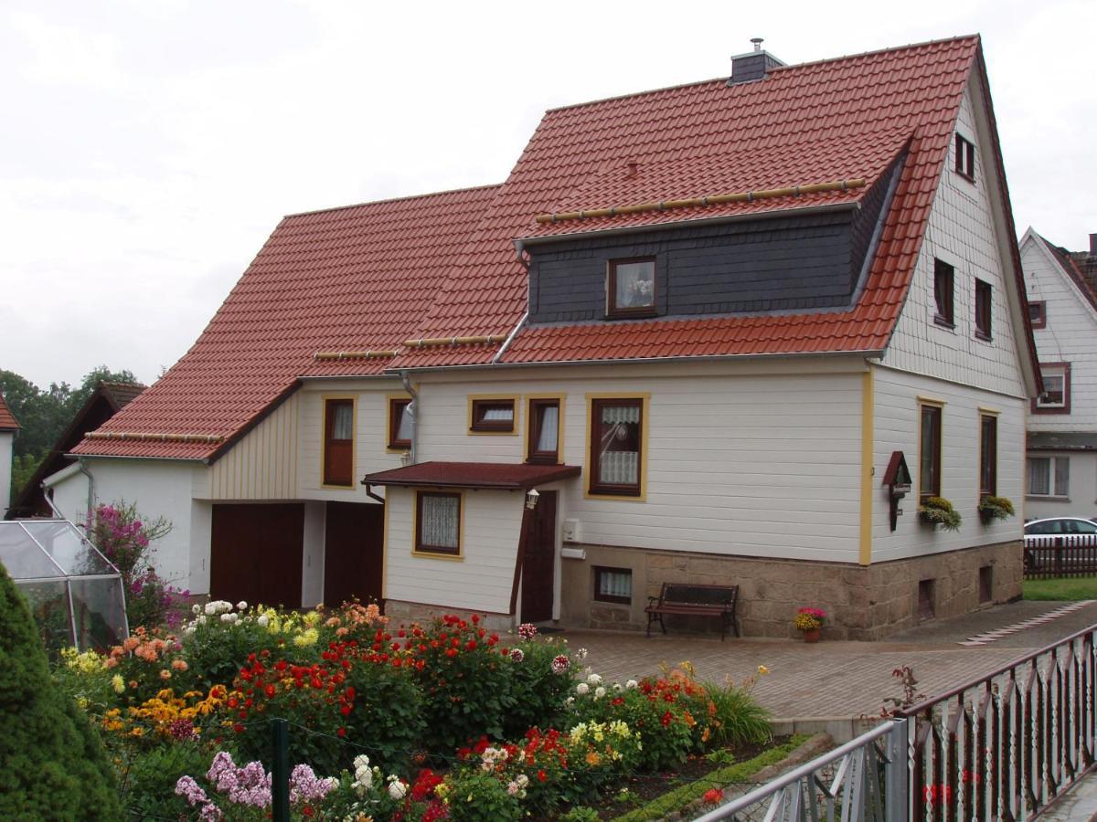 Ferienwohnungen Riessling Elend Extérieur photo
